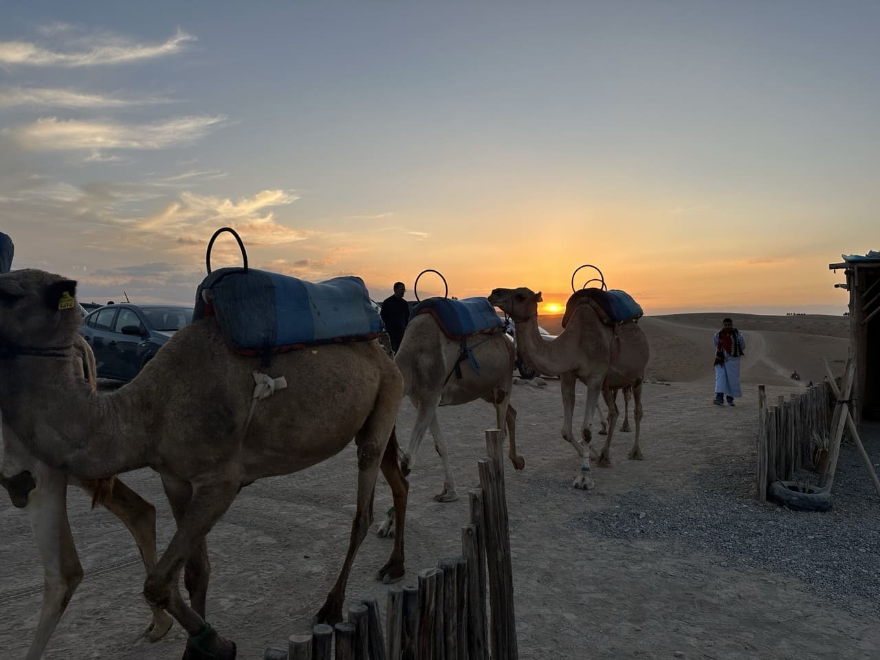 Laissez-vous emporter par la magie du désert d’Agafay avec ce pack complet : aventure en buggy, promenade à dos de chameau, dîner ou déjeuner avec spectacle, pour 2 personnes.